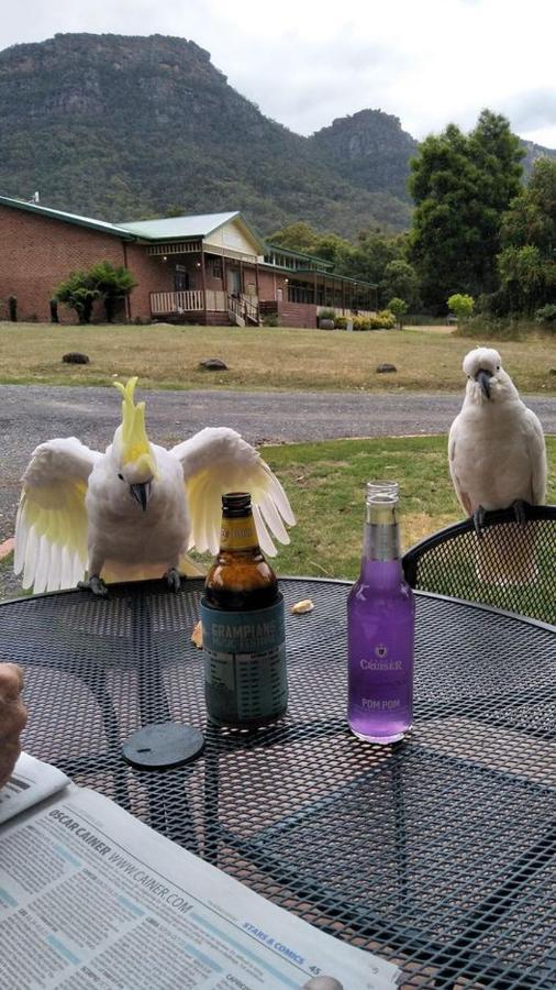 Halls Gap Valley Lodges Buitenkant foto